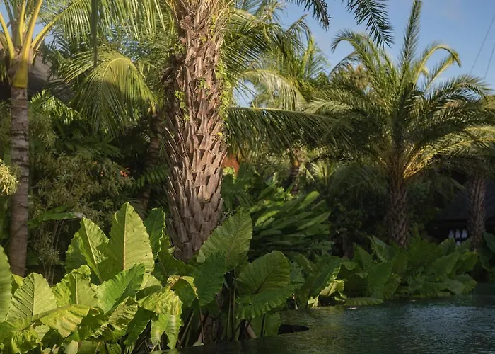 Resort Nuju - Adults Only 5*